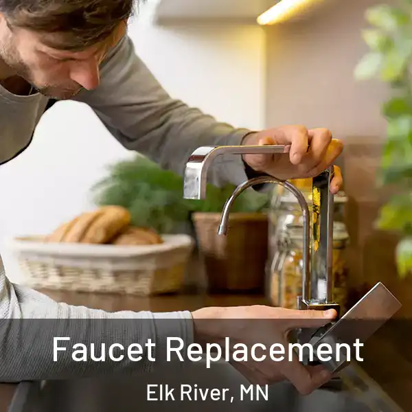  Faucet Replacement Elk River, MN