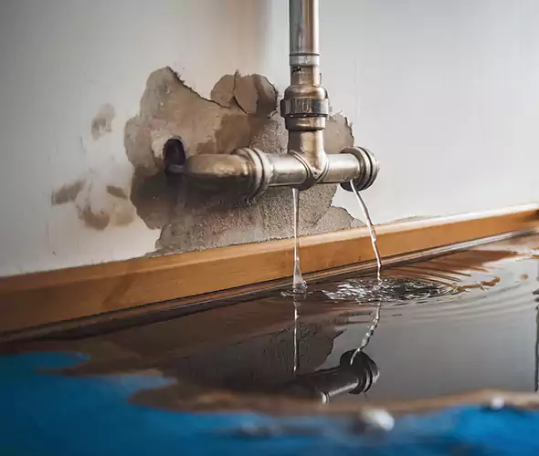 Professional Water Damage Restoration Experts in Elk River, MN — Fast, Reliable & Certified