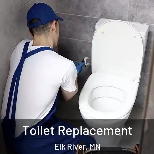  Toilet Replacement Elk River, MN