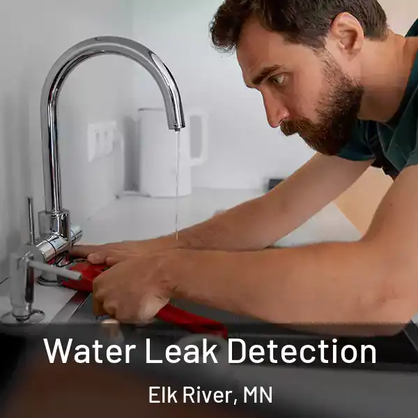  Water Leak Detection Elk River, MN